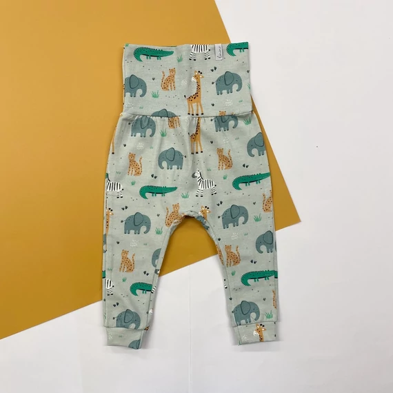 safari